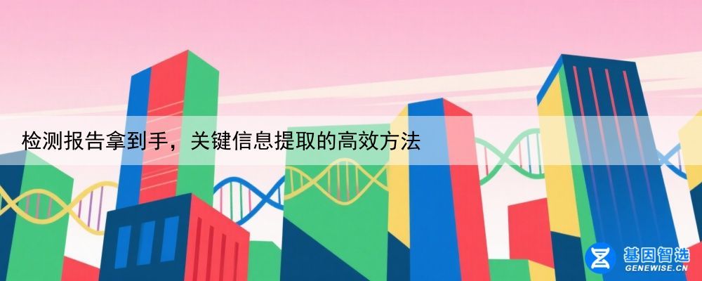 检测报告拿到手，关键信息提取的高效方法