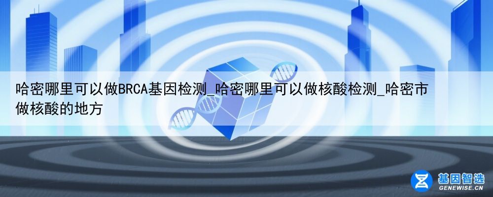 哈密哪里可以做BRCA基因检测_哈密哪里可以做核酸检测_哈密市做核酸的地方