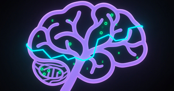 自闭症基因检测Panel