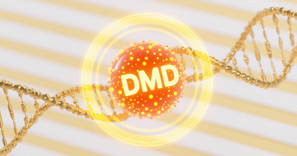 DMD杜氏肌营养不良基因检测Panel