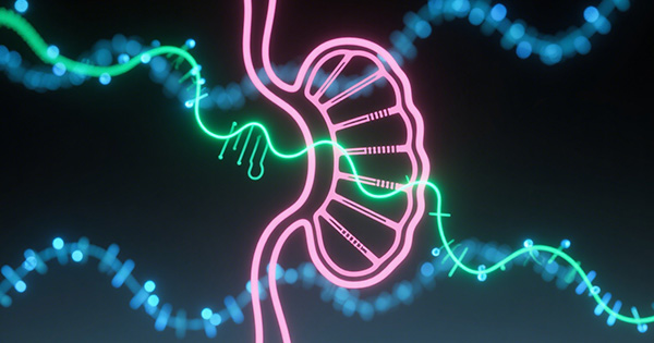 内分泌系统疾病基因检测Panel