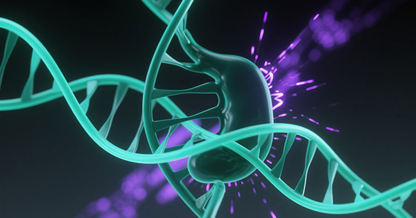 胆囊癌基因检测