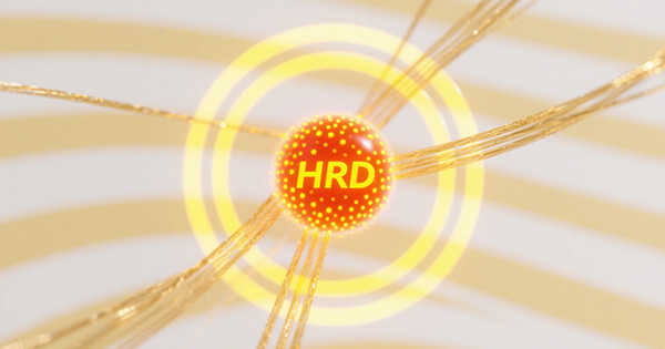 HRD肿瘤同源重组修复缺陷检测