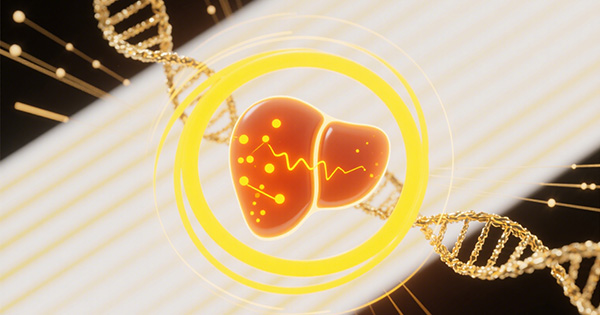 遗传性肝病基因检测Panel