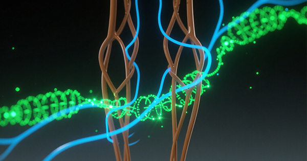 遗传性痉挛截瘫基因检测Panel