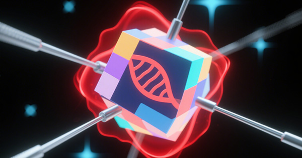 智力障碍基因检测Panel