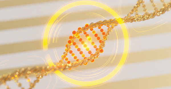 肯尼迪病基因检测Panel