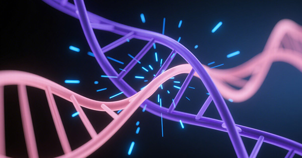 林奇综合征基因检测