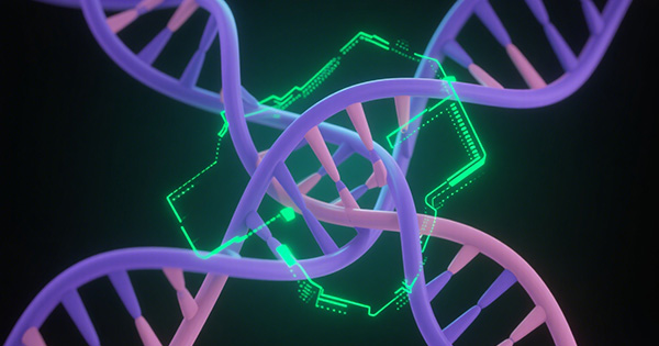 髓母细胞瘤基因检测