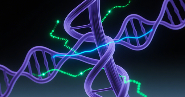 脊髓性肌萎缩症基因检测Panel