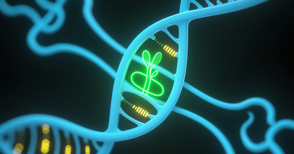 矮小症基因检测Panel