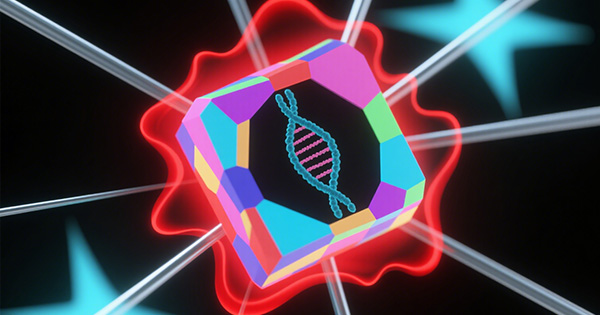 渐冻症基因检测Panel