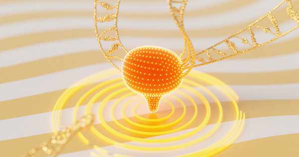 膀胱癌基因检测