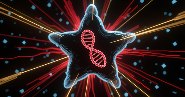 乳腺癌基因检测