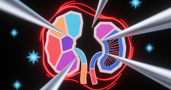 遗传性肾病基因检测Panel