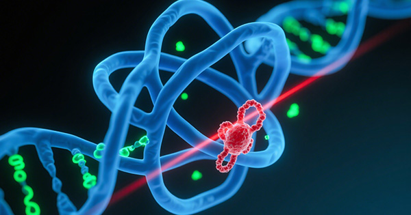 免疫系统疾病基因检测Panel