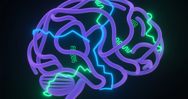 神经系统疾病基因检测Panel