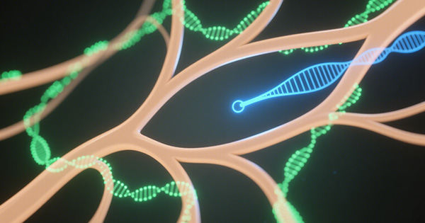 神经纤维瘤基因检测Panel