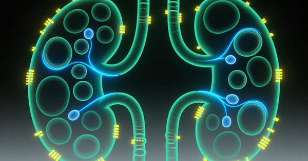 多囊肾基因检测Panel