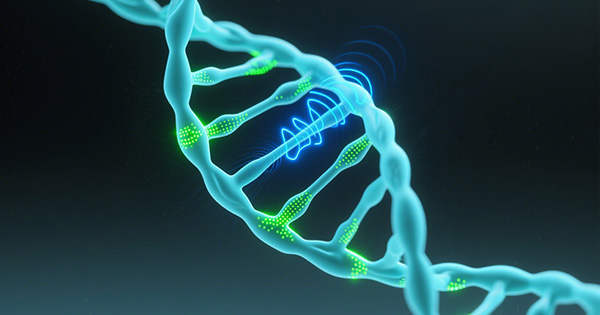 结节性硬化症基因检测Panel