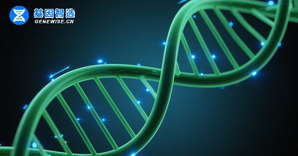 上皮性卵巢癌 PARP 抑制剂相关生物标志物检测：从机制到临床规范