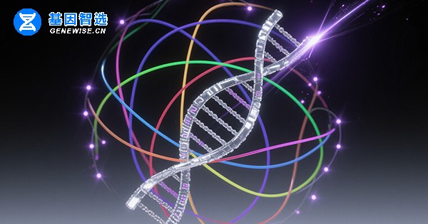 上皮性卵巢癌 PARP 抑制剂相关生物标志物检测：从机制到临床规范