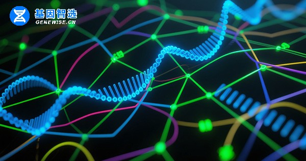 深度解读《MET 异常 NSCLC 诊疗专家共识（2025 版）》：从机制到临床的精准诊疗革新